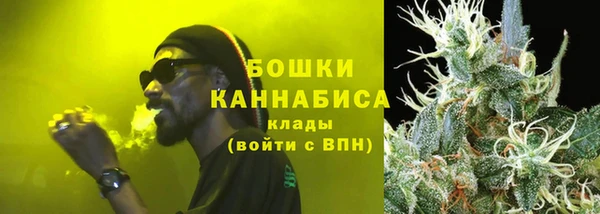 мдпв Новозыбков